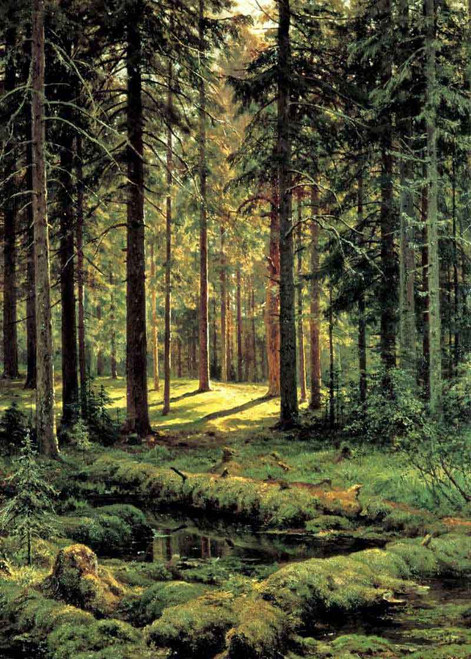 Coniferous Forest, Sunny Day By Ivan Ivanovich Shishkin