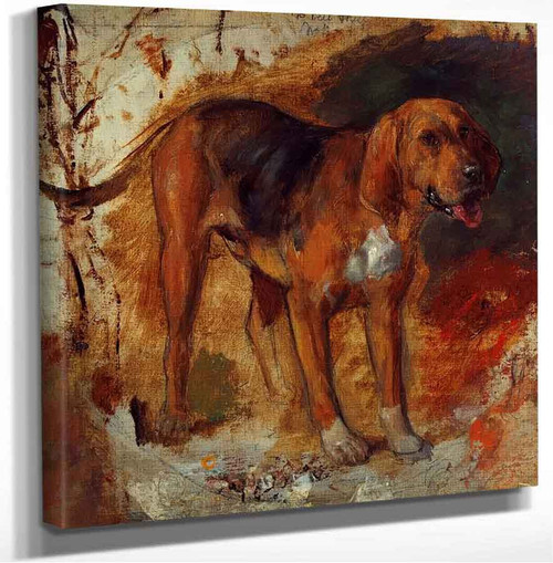 Study Of A Bloodhound William Holman Hunt