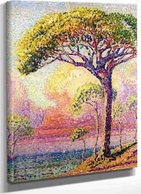 A Pine Tree By Henri Edmond Cross