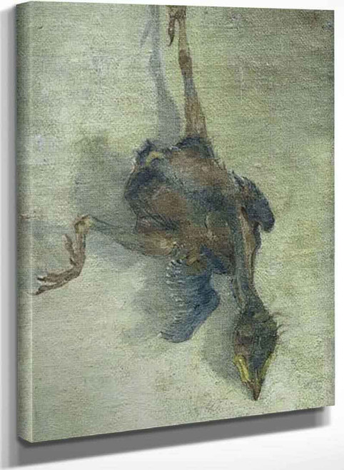 Dead Bird By Jan Mankes