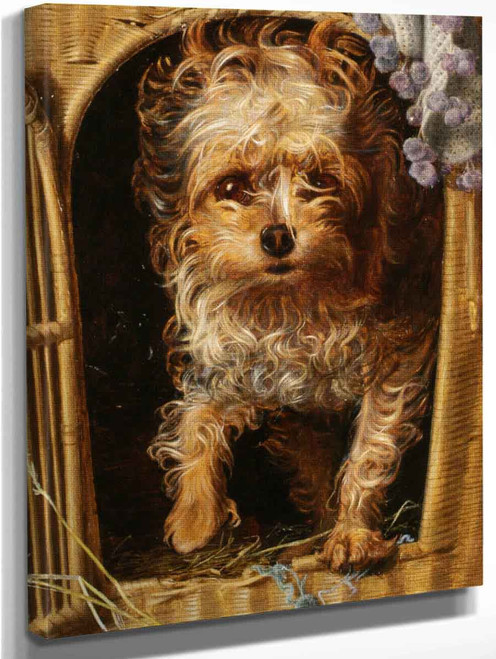 Darby In His Basket Kennel By Anthony Frederick Sandys