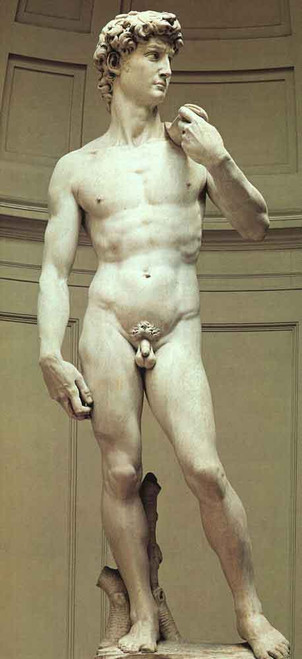 David  By Michelangelo Buonarroti By Michelangelo Buonarroti