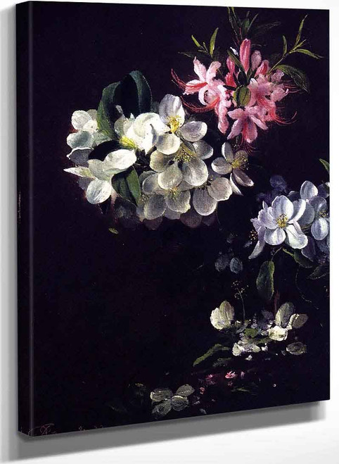 Sketch Of Apple Blossoms With May Flowers By David Johnson