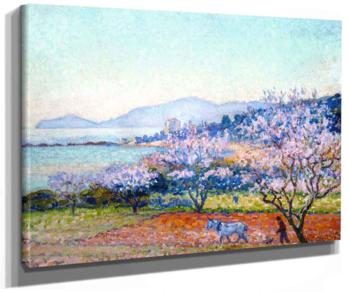 Almond Tree In Blossom (Also Known As Almandiers En Fleurs (Matin)) By Theo Van Rysselberghe