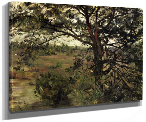 Luneberger Heide By Lovis Corinth