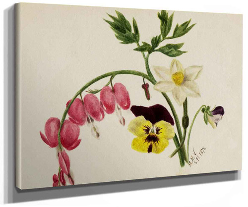Mixed Flowers By Mary Vaux Walcott