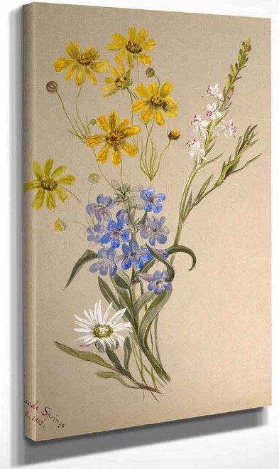 Group Of Flowers By Mary Vaux Walcott