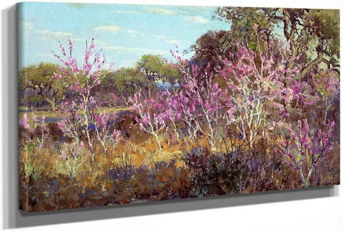 Redbud Tree In Bloom At Leon Springs San Antonio by Julian Onderdonk