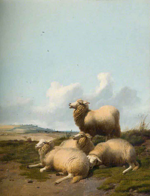 Four Sheep By Thomas Sidney Cooper By Thomas Sidney Cooper Four Sheep By Thomas Sidney Cooper By Thomas Sidney Cooper