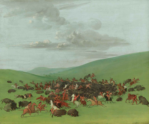 Buffalo Chase A Surround By The Hidatsa by George Catlin