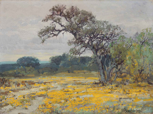 Coreopsis Near San Antonio Texas 1919 by Julian Onderdonk