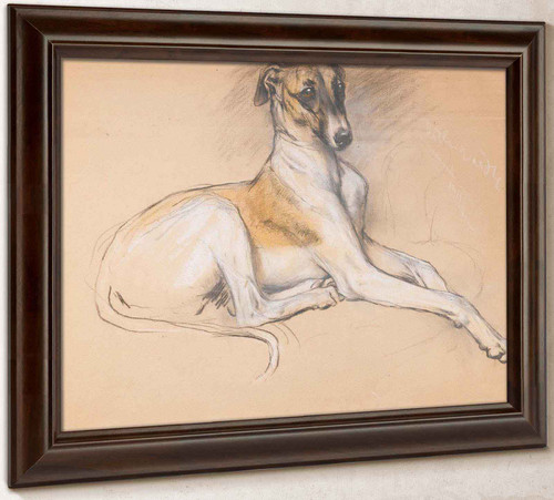 Studies Of A Greyhound by Arthur Wardle