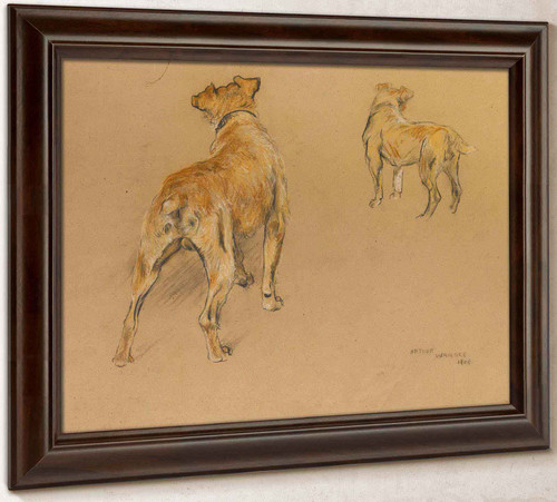 Studies Of A Terrier From Behind by Arthur Wardle