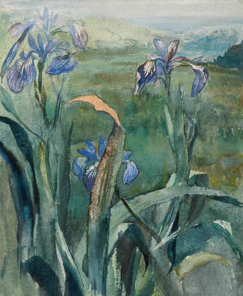 John La Farge Blue Iris Study by John La Farge