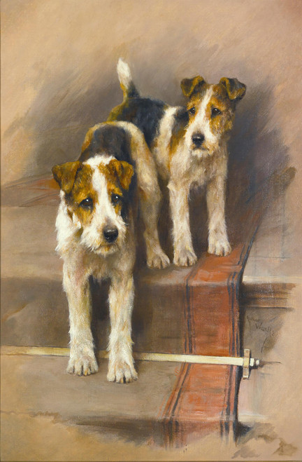 Terriers On A Staircase by Arthur Wardle