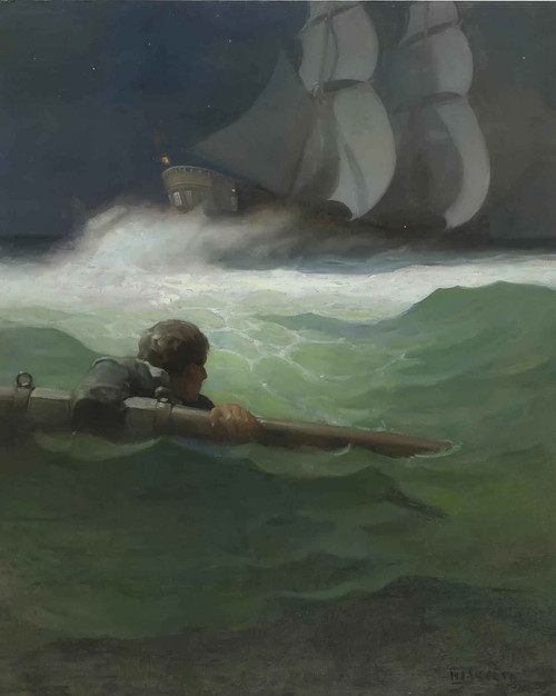 The Wreck Of The Covenant by Nc Wyeth