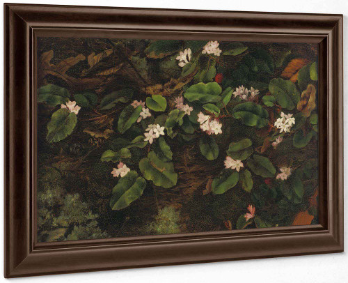 Primroses by Fidelia Bridges