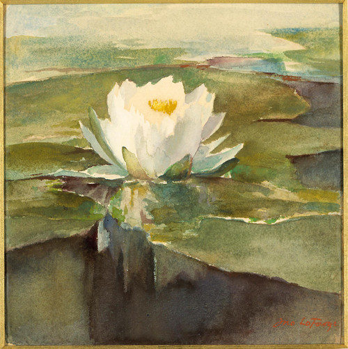 Water Lily In Sunlight by John La Farge