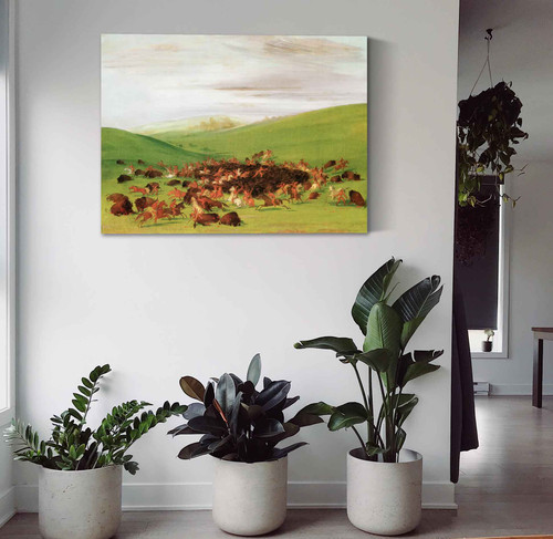 Buffalo Chase,A Surround By The Hidatsa George Catlin