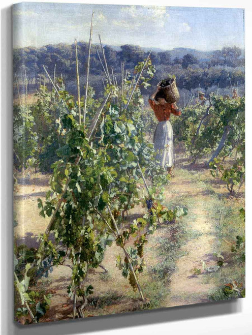 Grape Harvesting By Elin Kleopatra Danielson Gambogi By Elin Kleopatra Danielson Gambogi