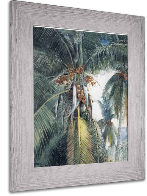 Coconut Palms Key West by Winslow Homer