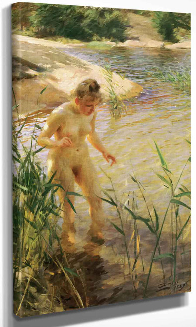 Reflections Anders Zorn