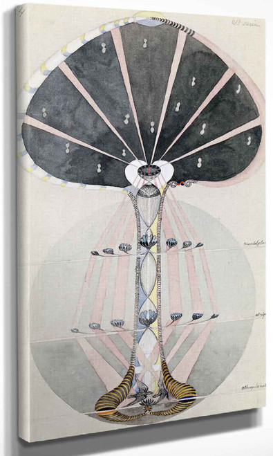 Tree Of Knowledge No 4 Hilma Af Klint