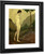 Nude In Landscape By Arthur B. Davies
