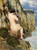 Nude On The Cliffs By Frederick Childe Hassam