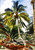 Palm Trees, Bahamas By Winslow Homer