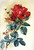 Papa Gontier Roses By Raoul De Longpre By Raoul De Longpre