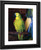 Parrot By George Wesley Bellows By George Wesley Bellows