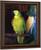 Parrot By George Wesley Bellows Oil on Canvas Reproduction