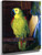 Parrot By George Wesley Bellows By George Wesley Bellows