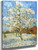 Peach Trees In Blossom1 By Jose Maria Velasco