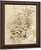 Plant Study, Catskill Mountains By William Trost Richards