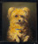 Portrait Of A Dog By Carl Reichert