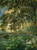 Relaxing In The Garden, Argenteuil By Claude Oscar Monet