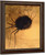 Spider By Odilon Redon Spider By Odilon Redon