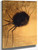 Spider By Odilon Redon