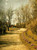 Spring By Johan Krouthen