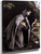 St Francis Meditating By El Greco By El Greco
