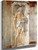 St Jerome By Domenico Ghirlandaio
