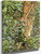 Study Of An Ash Trunk By Albert Joseph Moore, A.R.W.S.