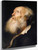 Study Of Old Bearded Man By Jan Lievens The Elder