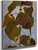 Sunflower I By Egon Schiele