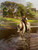 The Close Of A Summer Day By Harold Harvey