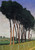 The Family Of Trees By Felix Vallotton