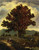 The Pathway Home By David Johnson