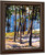 The Pines Of Galicia By Joaquin Sorolla Y Bastida The Pines Of Galicia By Joaquin Sorolla Y Bastida